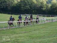 EL180921-56 - Emma Lavelle Stable Visit